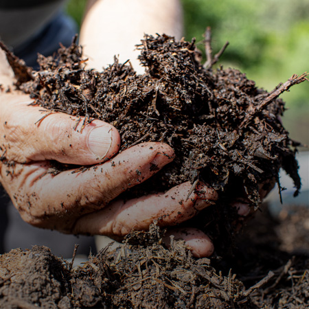 anteprima-ottobre-mese-del-compost-cooperativa-agricola-nuovo-cilento.jpg