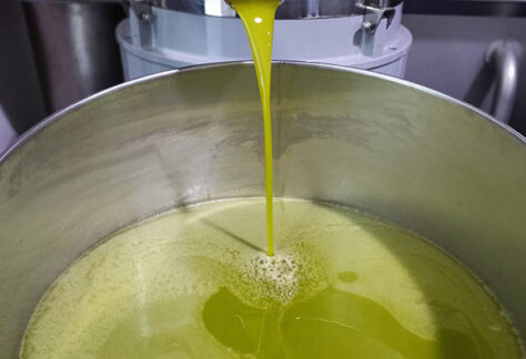 olio evo