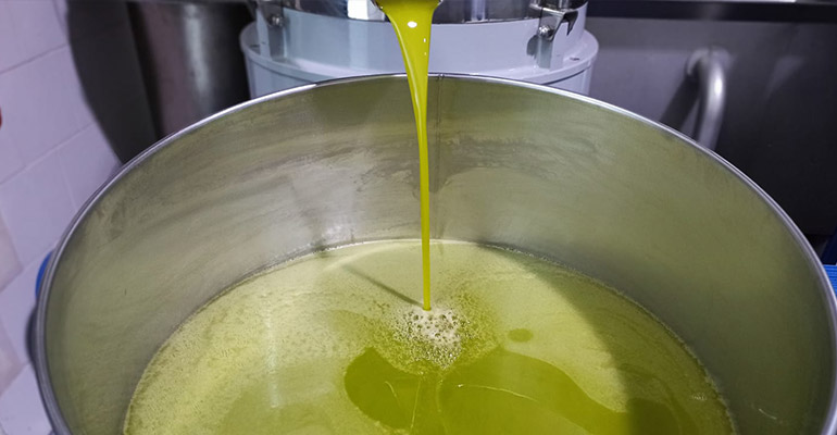 olio evo