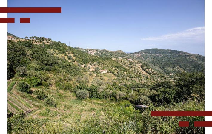 materiale-corridoi-ecologici-2-cooperativa-nuovo-cilento