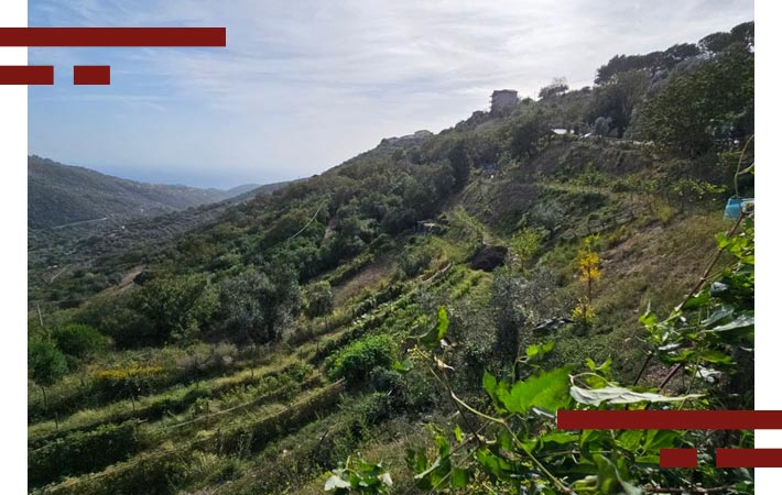 materiale-corridoi-ecologici-3-cooperativa-nuovo-cilento