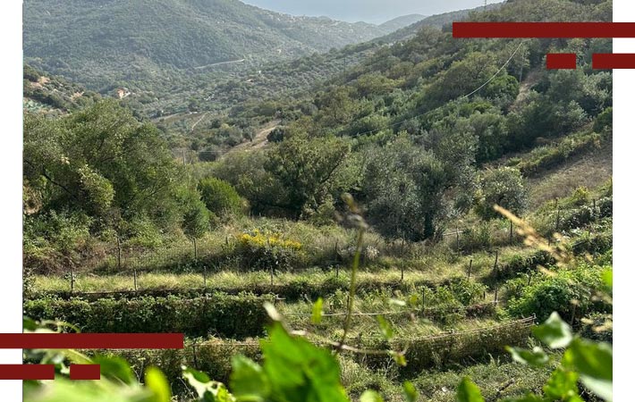 materiali-corridoi-ecologici-cooperativa-nuovo-cilento