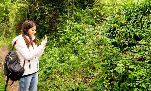 passeggiata nei corridoi ecologici 2 cooperativa nuovo cilento