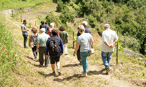 passeggiata nei corridoi ecologici cooperativa nuovo cilento