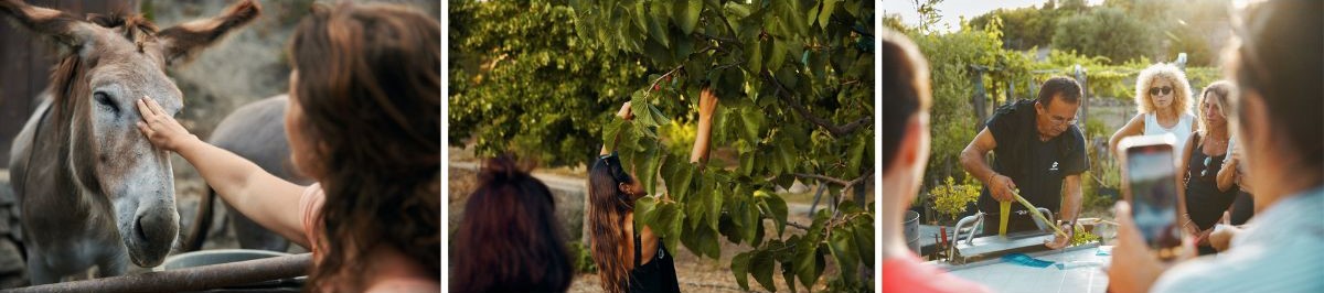 Tenuta degli eremi Tenuta degli eremi