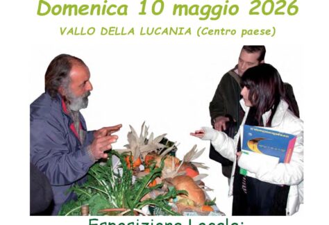 esposizione-10-05-2026 VALLO DELLA LUCANIA