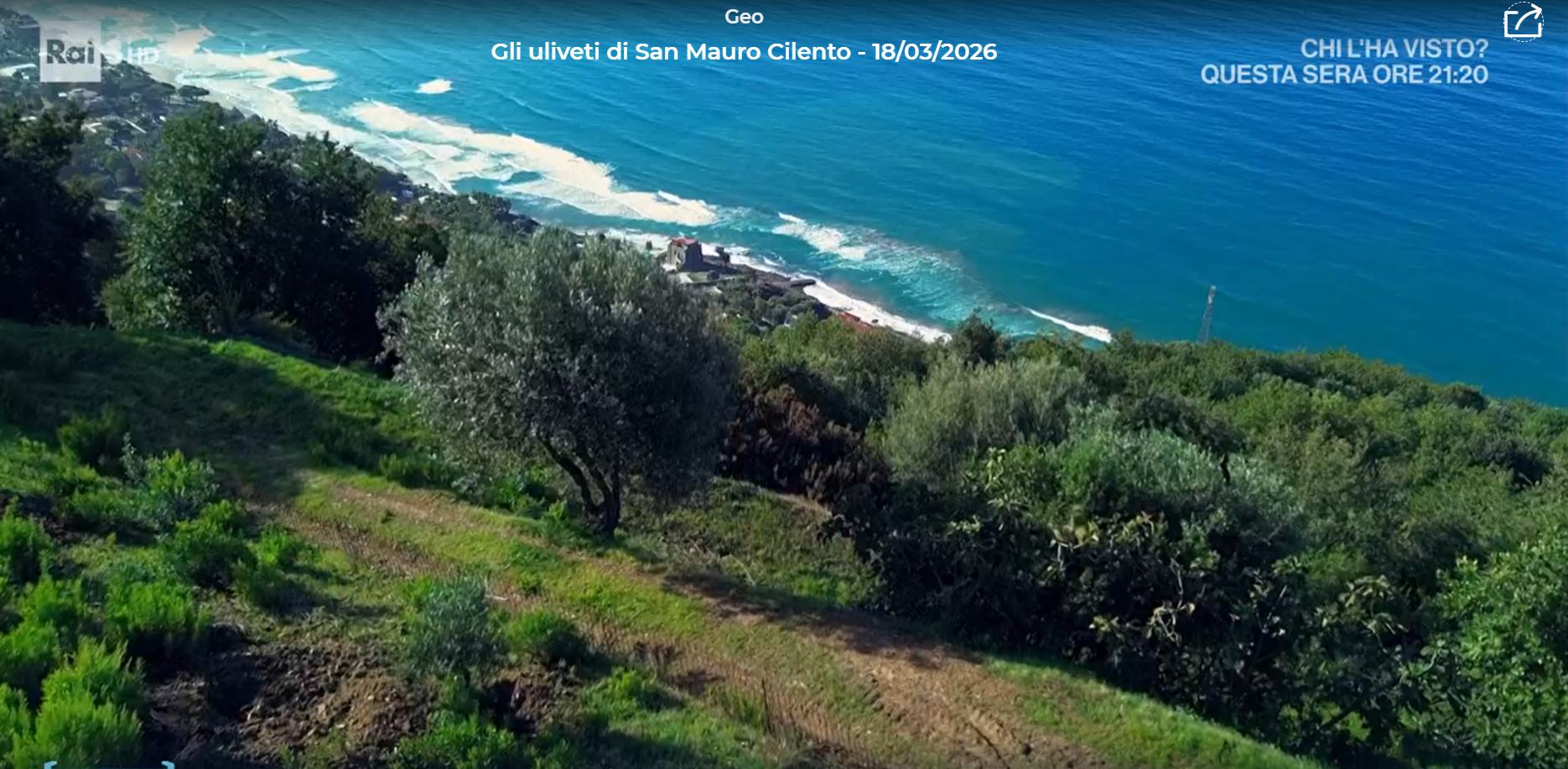 Geo raitre uliveti san mauro cilento