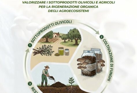 corso di funghicoltura per l'agroecologia
